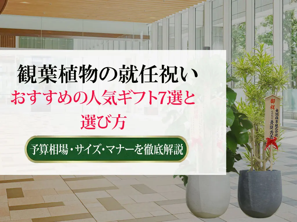観葉植物の就任祝い｜おすすめ人気ギフト７選と選び方