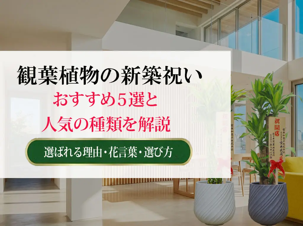 観葉植物 新築祝い おすすめ5選と人気の種類を解説