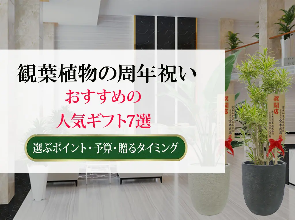 観葉植物 周年祝いにおすすめの人気ギフト7選