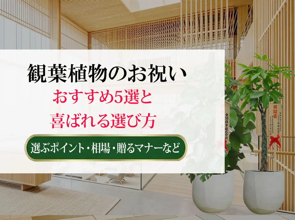 観葉植物のお祝いおすすめ5選と喜ばれる選び方