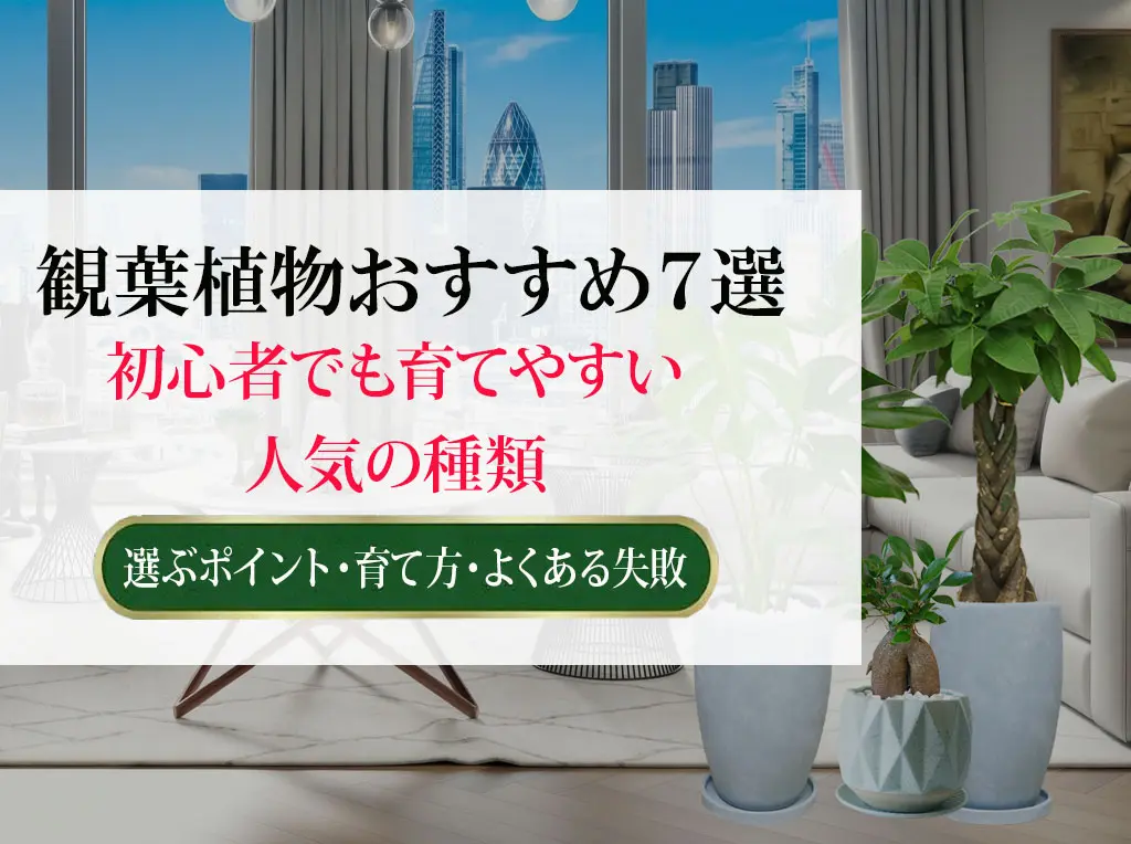 観葉植物おすすめ7選 初心者でも育てやすい人気の種類