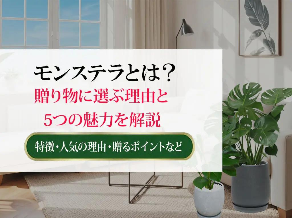 モンステラとは？贈り物に選ぶ理由と5つの魅力を解説