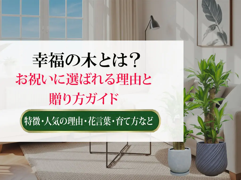 幸福の木とは？お祝いに選ばれる理由と贈り方ガイド