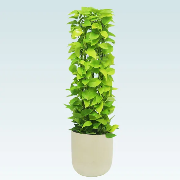 ポトスライムタワー(Uポット型、グラスファイバー製鉢カバー付)　Ｍサイズ