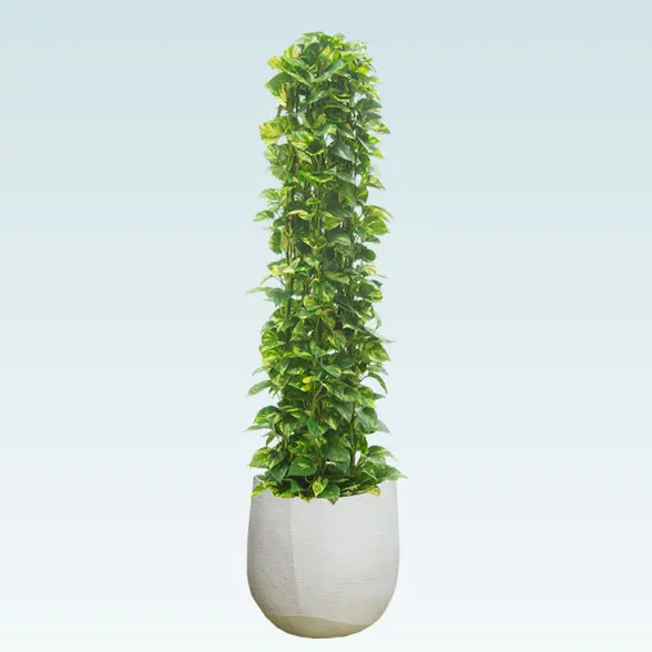 ポトスタワー(ラグジュアリー型、グラスファイバー製鉢カバー付)　Lサイズ