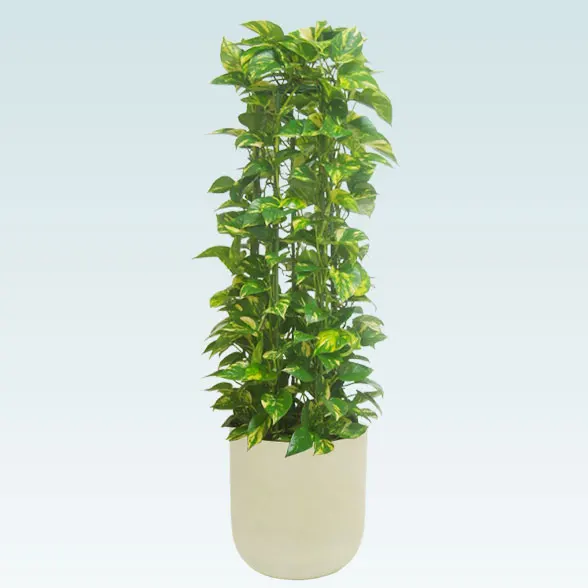 ポトスタワー(Uポット型、グラスファイバー製鉢カバー付)　Ｍサイズ1