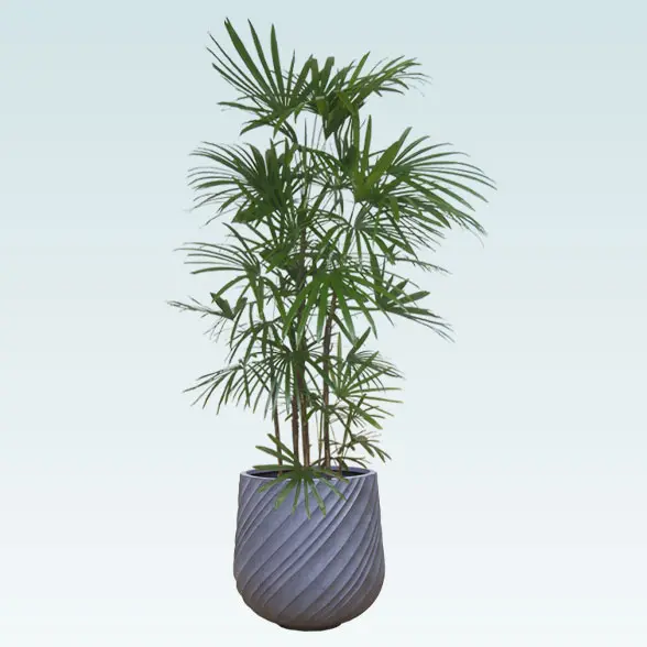 シュロチク(スパイラル型、グラスファイバー製鉢カバー付)　Lサイズ　グレー